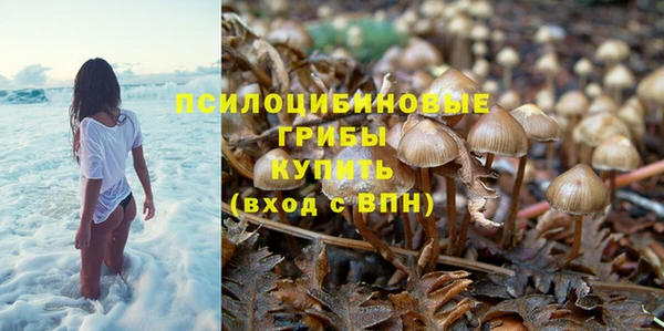 хмурый Армянск