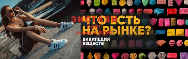 индика Касимов