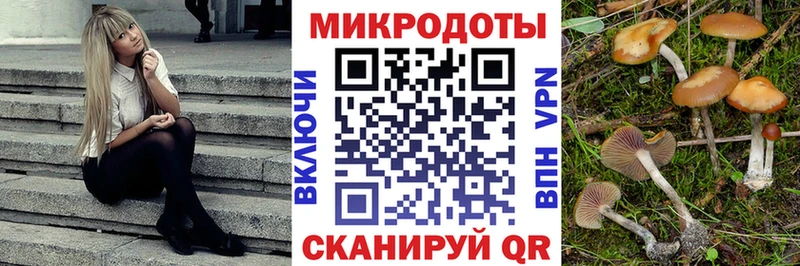 Галлюциногенные грибы Cubensis  Солигалич 